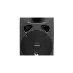 BAFLE 15" PLASTICO 2 VIAS PASIVO HARDEN
