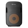 Bafle de 12  2,300W PMPO profesional Bluetooth True Wireless Link