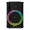 Mini bafle 5.5  600W PMPO Bluetooth True Wireless Link con batería recargable