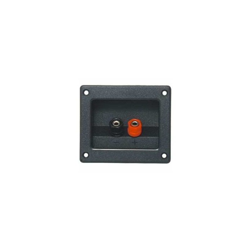 TERMINAL RECTANGULAR 93X79MM 2 TERMINALE BANANA