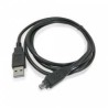 ARNES  USB PLUG A a PLUG 4 PINES FIREWIRE